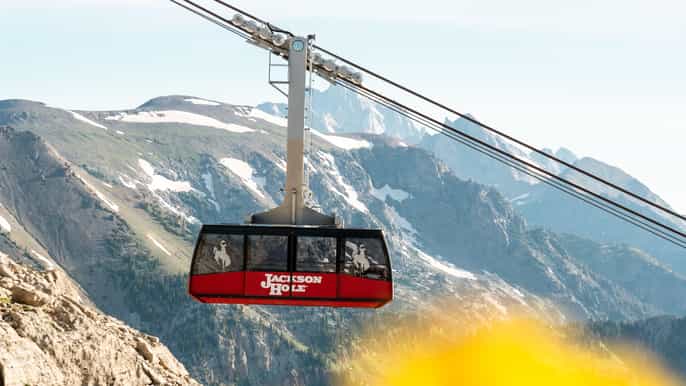 Jackson Hole: teleférico y góndolas turísticas
